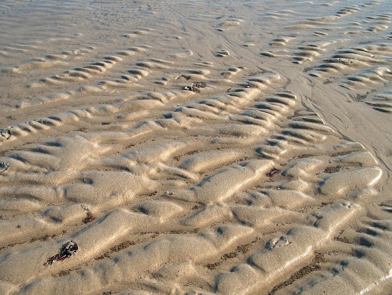 Temporal Loops Image